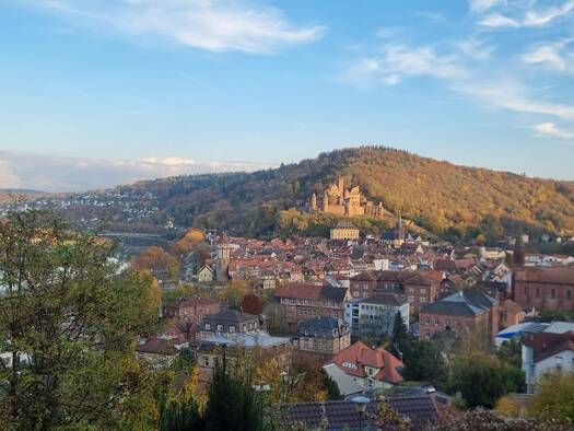 Wohnung zum Kauf provisionsfrei 232.500 € 4 Zimmer 125 m² Geschoss EG/4 Wertheim 97877