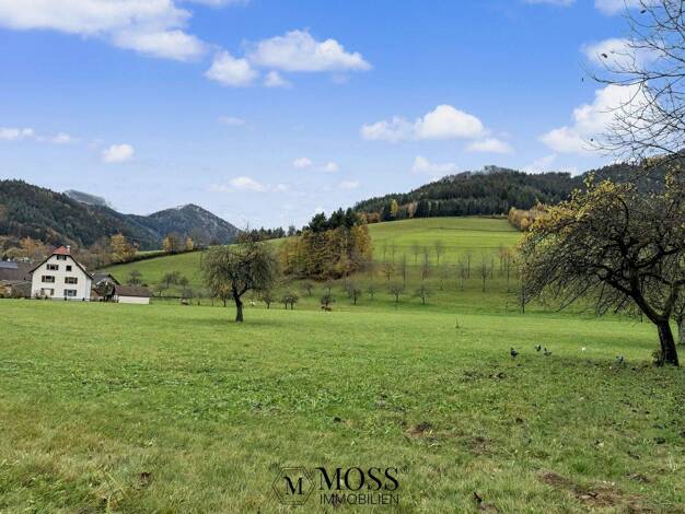 Einfamilienhaus zum Kauf 399.000 € 5 Zimmer 150 m² 277 m² Grundstück frei ab 01.09.2026 Simonswald 79263