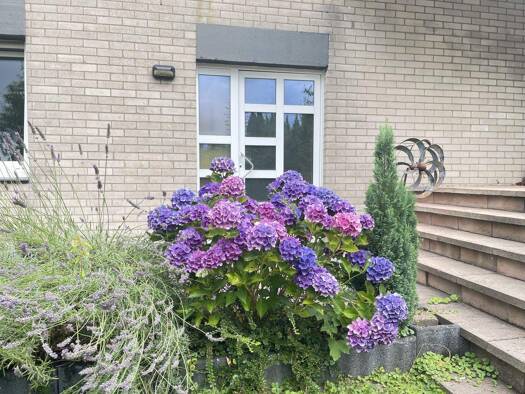 Doppelhaushälfte zum Kauf provisionsfrei 390.000 € 5 Zimmer 121 m² 572 m² Grundstück Reiner-Hütten-Straße 19 Blecher Odenthal 51519