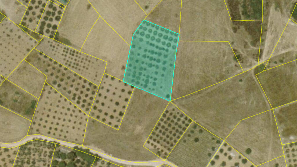 Land-/Forstwirtschaft zum Kauf 160.000 € 4.400 m² Grundstück Chalkidiki