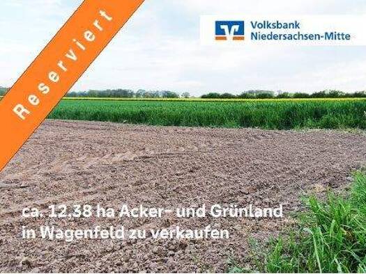 Land-/Forstwirtschaft zum Kauf 124.959 m² Grundstück Wagenfeld 49419