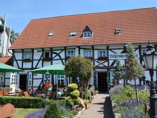 Grundstück zum Kauf 635.000 € 1.479 m² Grundstück frei ab sofort Lichtenberg Salzgitter 38228