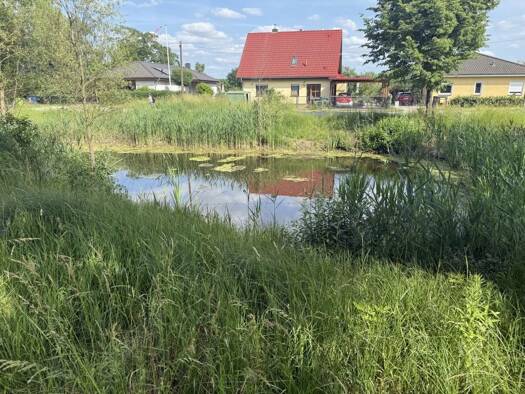 Grundstück zum Kauf 186.000 € 527 m² Grundstück frei ab sofort Dahlwitz-Hoppegarten Hoppegarten 15366