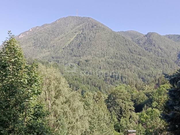 Grundstück zum Kauf 108.000 € 1.719 m² Grundstück Semmering 2680