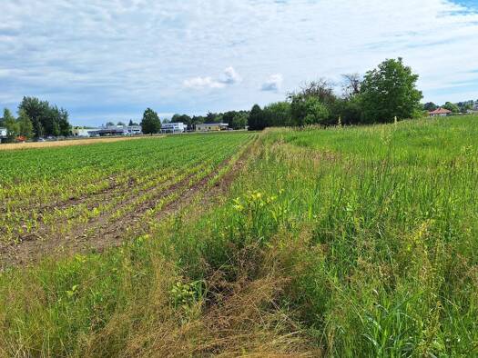 Gewerbegrundstück zum Kauf 359.100 € 4.788 m² Grundstück Oberwart 7400