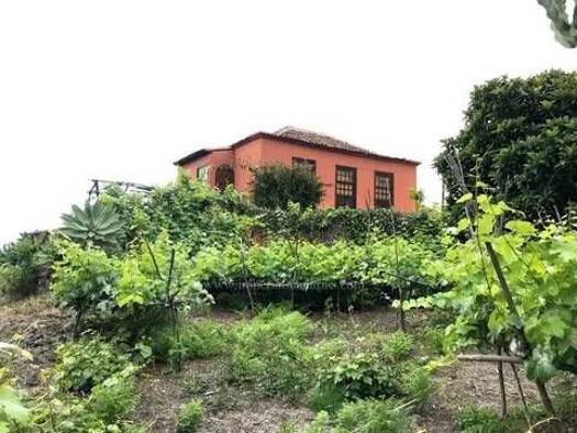Bauernhaus zum Kauf 350.000 € 2 Zimmer 281 m² Icod de los Vinos 38439