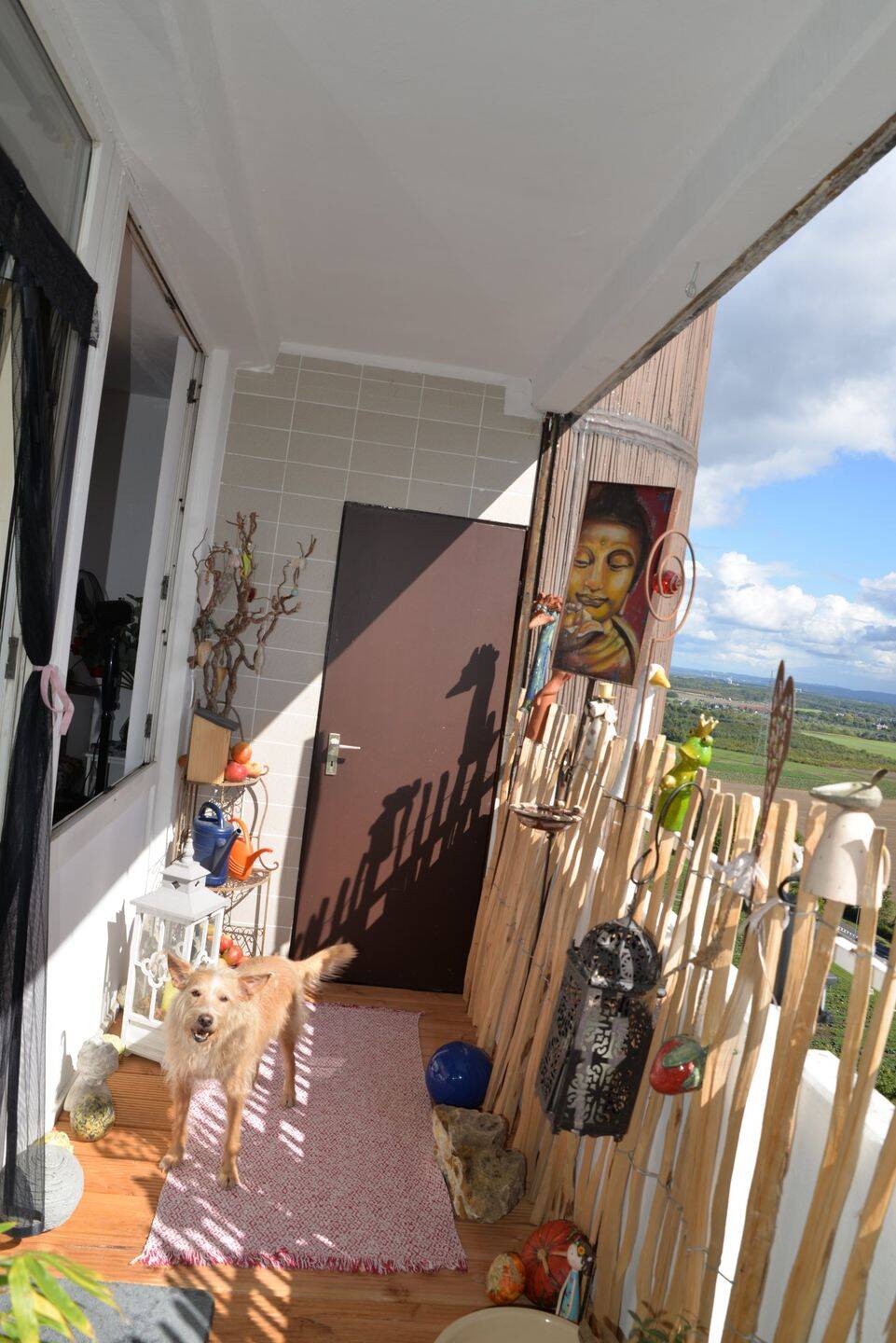 Property thumbnail 10