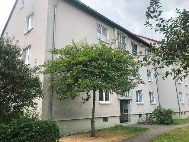 Wohnung zur Miete 487 € 3,5 Zimmer 59,4 m² 1. Geschoss frei ab 28.02.2026 Schadeburgstr. 81 Holthausen Herne 44627