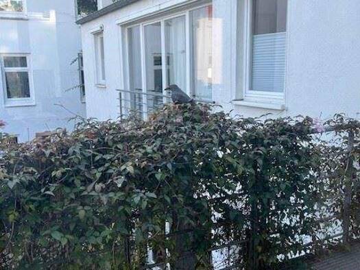 Atelier zur Miete 19 € 245,5 m² Bürofläche teilbar ab 65,5 m² Eimsbüttel Hamburg 20259