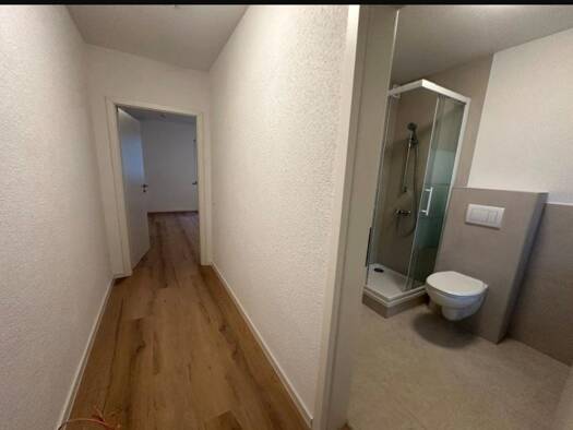 Wohnung zur Miete 515 € 1 Zimmer 27 m² Geschoss -2/3 frei ab sofort Neckarstadt Mannheim 68169