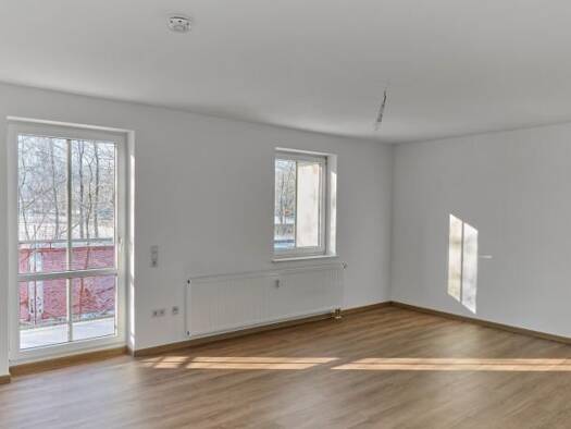 Wohnung zur Miete 322 € 1 Zimmer 46 m² 2. Geschoss Friedrichstraße 25 Döbeln Döbeln 04720