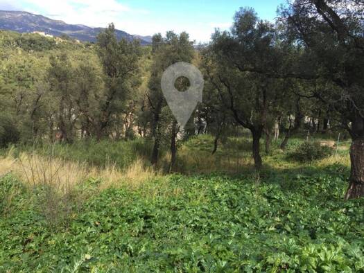 Acker-/Waldstück zum Kauf 89.000 € Agullana 17707