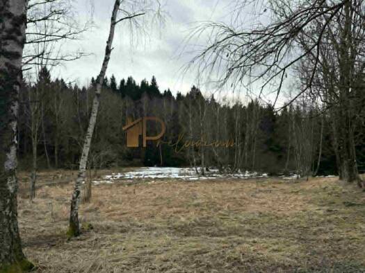Grundstück zum Kauf 149.000 € Ravna Gora 51314