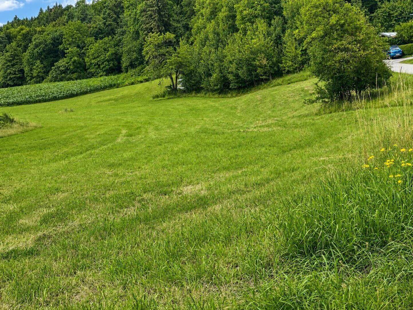 Grundstück zum Kauf - View 4