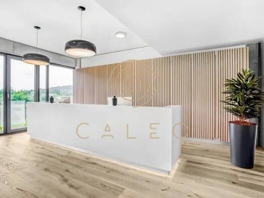 Bürofläche zur Miete provisionsfrei 55 m² Bürofläche teilbar ab 1 m² Innenstadt Kaiserslautern 67657