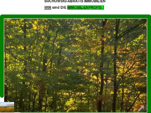 Land-/Forstwirtschaft zum Kauf 169.000 € 119.844 m² Grundstück Wölmsdorf Niedergörsdorf 14913