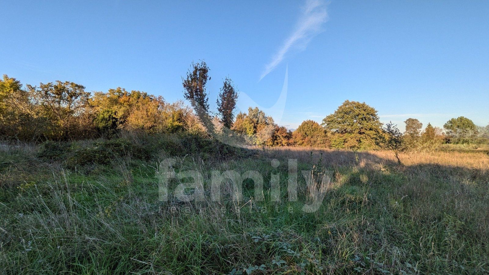 Land-/Forstwirtschaft zum Kauf 139.900 € Sajini