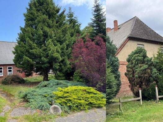 Einfamilienhaus zum Kauf provisionsfrei 99.000 € 11 Zimmer 314 m² 8.678 m² Grundstück frei ab sofort Parkstr. 47 Werle Prislich 19300