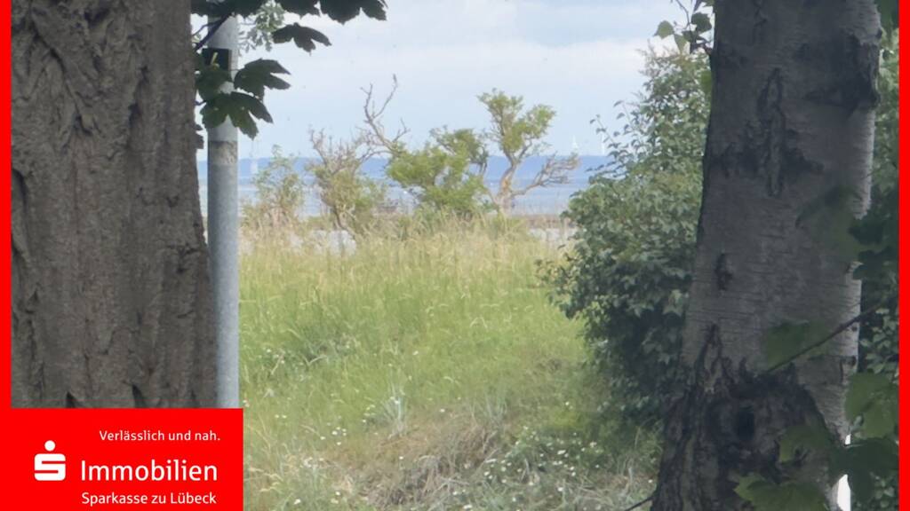 Haus zum Kauf 399.000 € 3 Zimmer 55 m² 367 m² Grundstück Travemünde Lübeck 23570