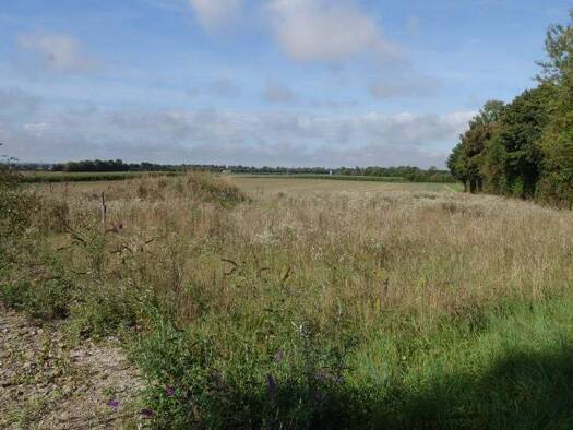Grundstück zum Kauf 685.000 € 2.644 m² Grundstück Baugenehmigung vorhanden frei ab sofort Münster Steinach 94377