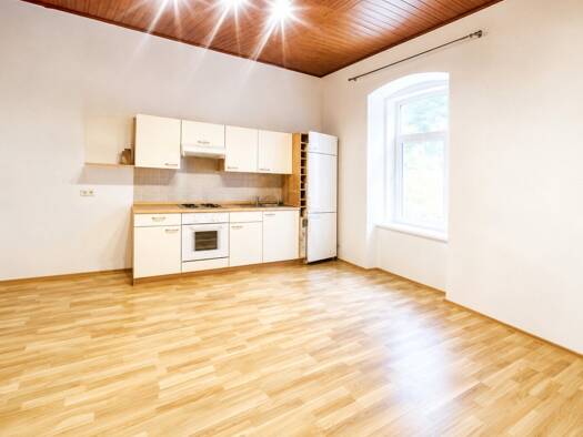 Wohnung zum Kauf 55.000 € 40 m² Schottwien 2641