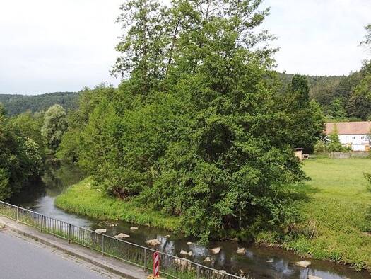 Haus zum Kauf 265.000 € 5,5 Zimmer 135 m² 2.163 m² Grundstück Traidendorf Kallmünz 93183