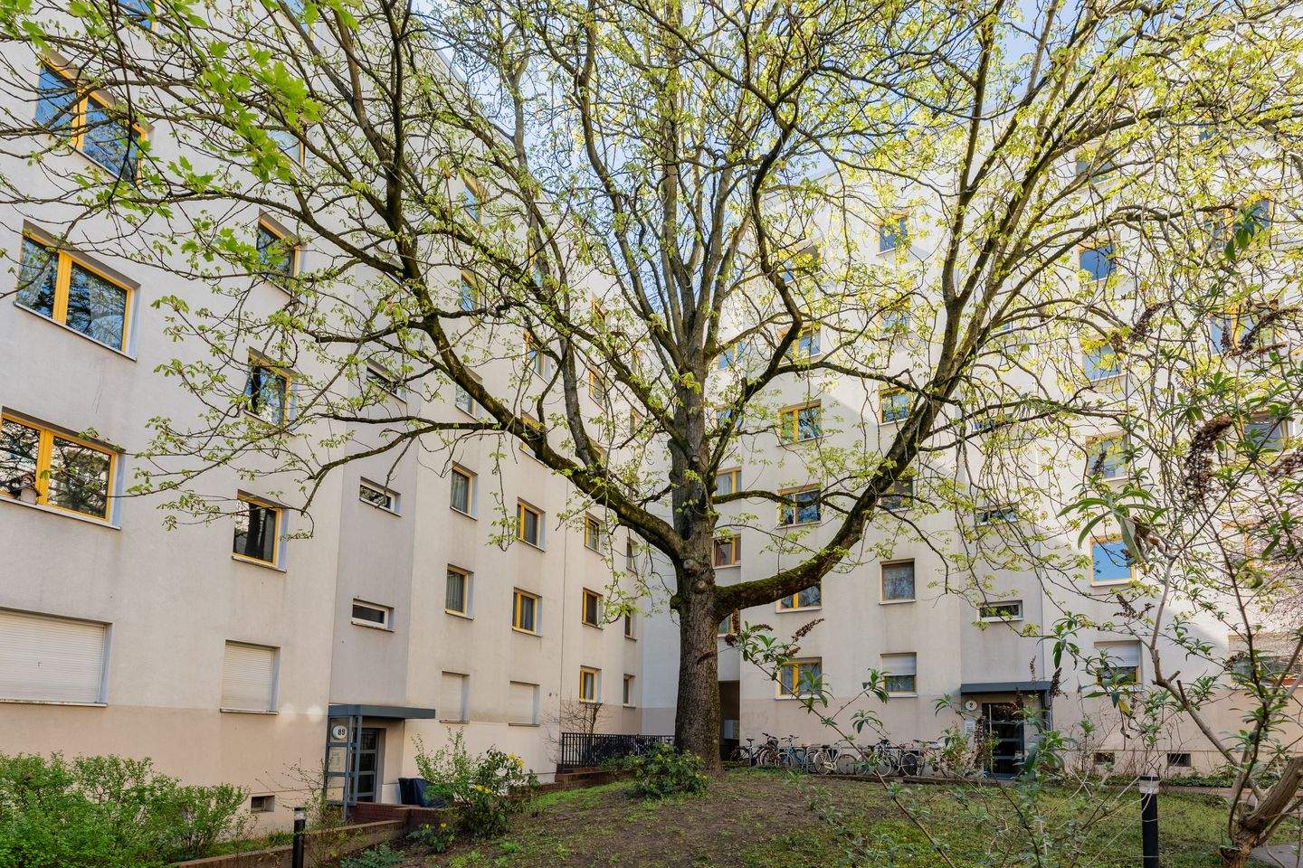 Property thumbnail 16