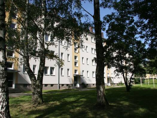 Wohnung zur Miete 294 € 2 Zimmer 49 m² 2. Geschoss frei ab sofort Altendorf Chemnitz 09116