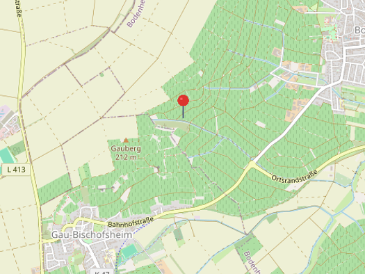 Land-/Forstwirtschaft zum Kauf 59.436 € 4.953 m² Grundstück Bodenheim 55294