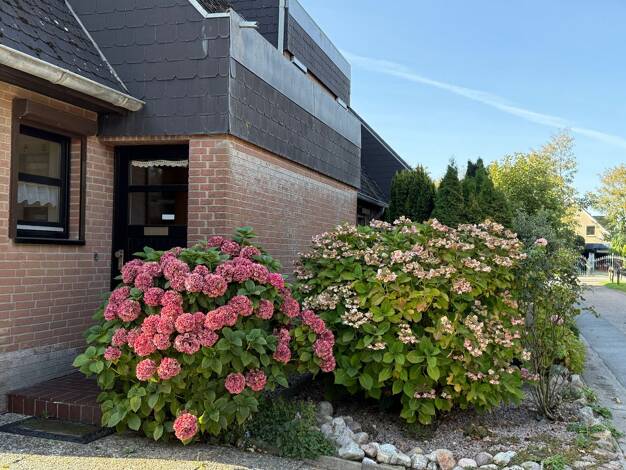 Reihenendhaus zum Kauf 285.000 € 3 Zimmer 99 m² Stinteck 7 b Westerdeichstrich 25761