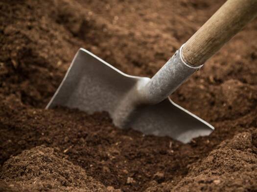 Grundstück zum Kauf 270.000 € 1.200 m² Grundstück Lohe Bad Oeynhausen 32545