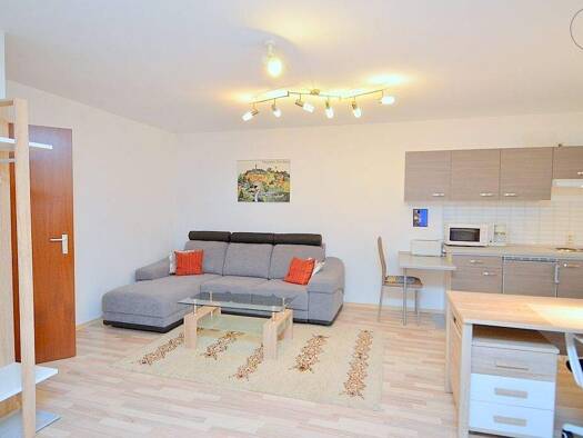 Wohnung zur Miete Wohnen auf Zeit 595 € 1 Zimmer 43 m² frei ab sofort Reichelsdorf Nürnberg 90453