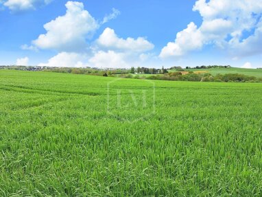 Landwirtschaftliche Fläche zum Kauf 585.000 € 65.674 m² Grundstück Stadtkern - Süd / Nonnenbruch Heiligenhaus 42579