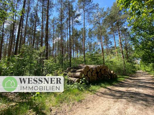 Land-/Forstwirtschaft zum Kauf 51.000 € 37.754 m² Grundstück Dallgow Dallgow-Döberitz 14624