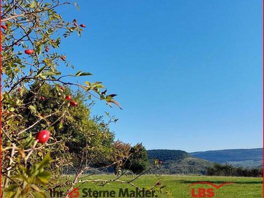 Grundstück zum Kauf 160.000 € 796 m² Grundstück Buchfeld Wachenroth 96193