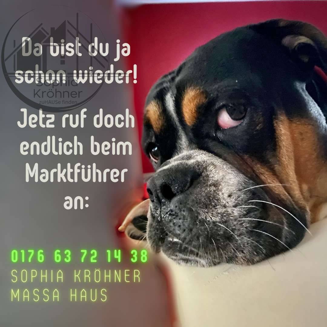 Doppelhaushälfte zum Kauf - Erstbezug - Ansicht 5