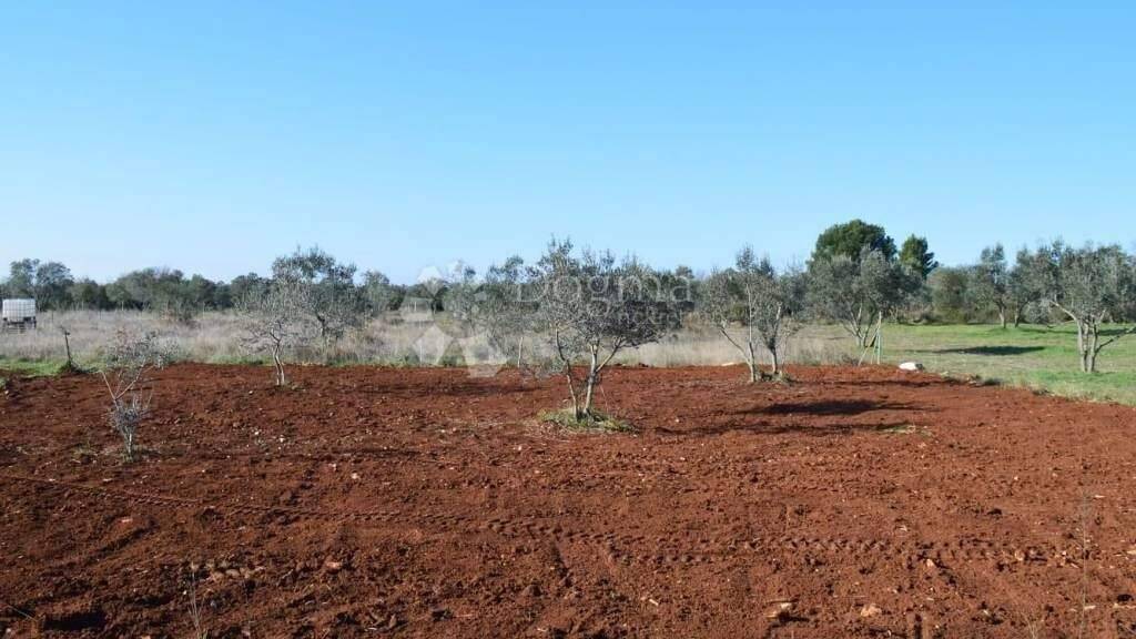 Land-/Forstwirtschaft zum Kauf 21.000 € Fazana