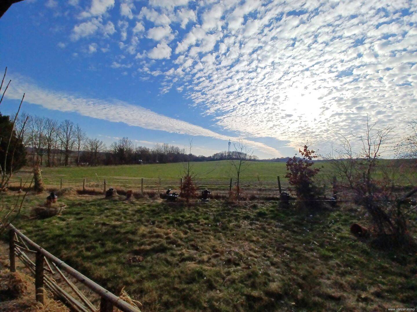 Immobilie in Zarpen - Zwei Blockhäuser auf großem Grundstück mit traumhaften Ausblick über Felder - Bild 1