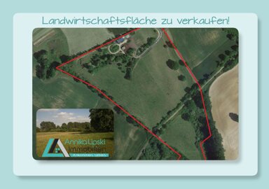 Landwirtschaftliche Fläche zum Kauf 150.000 € 61.114 m² Grundstück Karolinenhof Mittenwalde 17268