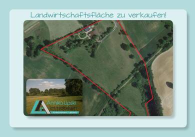 Landwirtschaftliche Fläche zum Kauf 150.000 € 61.114 m² Grundstück Karolinenhof Mittenwalde 17268