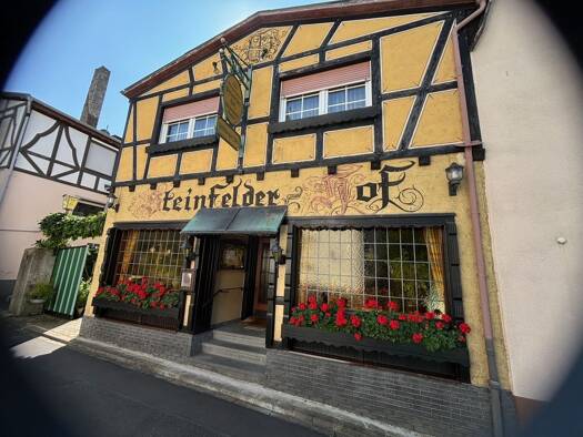 Hotel zum Kauf 299.000 € 13 Zimmer 216 m² Gastrofläche 403 m² Grundstück Ellenz Ellenz-Poltersdorf 56821