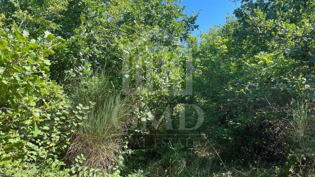 Land-/Forstwirtschaft zum Kauf 25.200 € Vodnjan