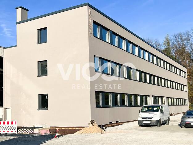 Lagerhalle zur Miete 285 m² Lagerfläche teilbar ab 285 m² Alt-Refrath Bergisch Gladbach 51427