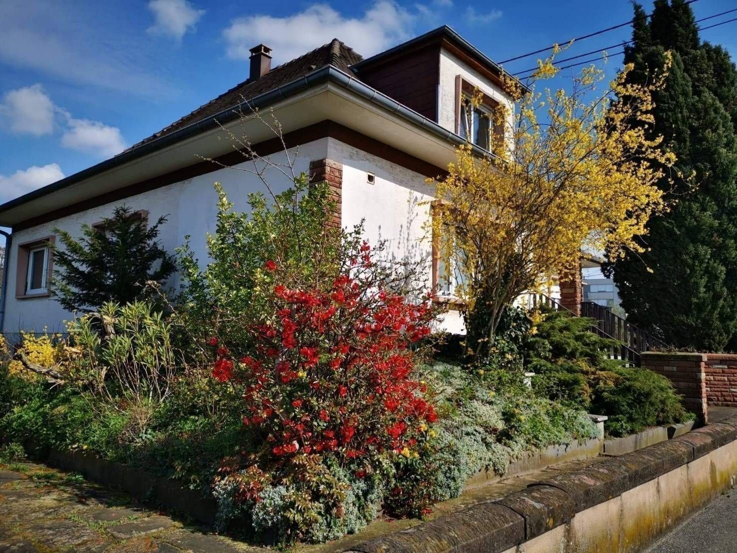 Einfamilienhaus zur Versteigerung 550.000 € 10 Zimmer 300 m²<br/>Wohnfläche 647 m²<br/>Grundstück rue de la Piscine Nord Ouest Bischwiller 67240