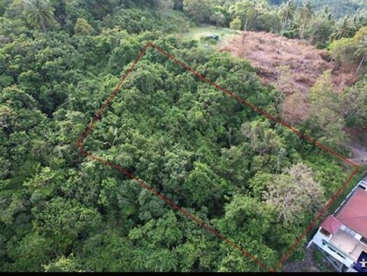 Grundstück zum Kauf 200.000 € 4.000 m² Grundstück Taling Ngam Koh Samui Koh samui