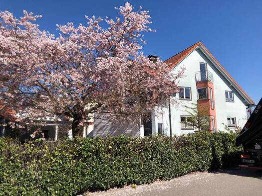 Mehrfamilienhaus zum Kauf 1.150.000 € 7,5 Zimmer 270 m² 685 m² Grundstück Rust 77977