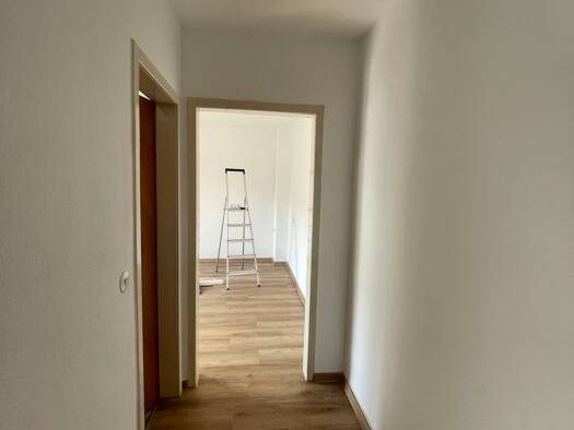 Wohnung zur Miete 230 € 1 Zimmer 33 m² Geschoss 1/3 frei ab sofort Grillparzerstr. Obermarxloh Hamborn 47166