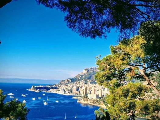 Haus zum Kauf 9.850.000 € 300 m² 1.490 m² Grundstück Village-Cros de Caste-Coupiere-Mont Gros Roquebrune-Cap-Martin 06190