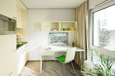Wohnung zur Miete 721 € 1 Zimmer 29,3 m² EG frei ab 01.06.2025 Wallstraße 33-37 Hartenberg/Münchfeld Mainz 55122