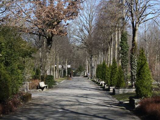 Forstwirtschaft zum Kauf 30.000 m² Grundstück Putzbrunn 85640